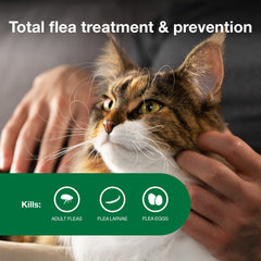 Advantage applied to cat neck showing quick topical application benefit
