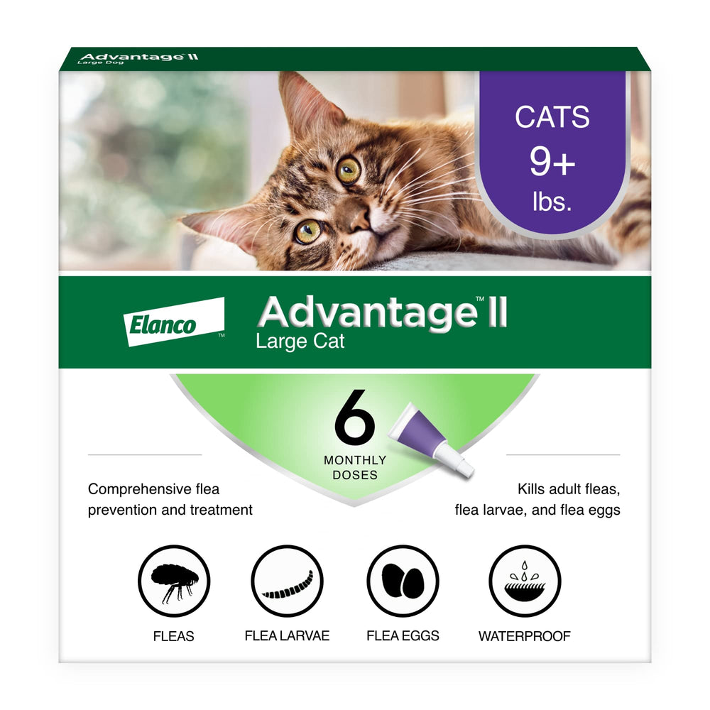 Advantage brand front packaging showing 6-month supply and benefits