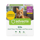 Advecta front packaging showing brand and six-month supply benefits