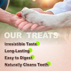 A Freschi tendon strip held in hand showing size suitable for small breeds