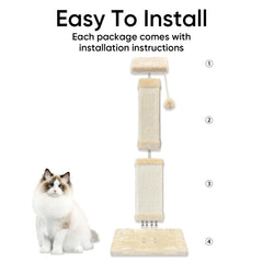 AGYM large cat using post to stretch and scratch, encouraging healthy behavior
