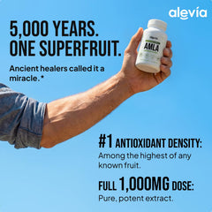 Alevia powdered Amla on spoon highlighting pure ingredient and potency