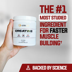 ALPHA LION powder close-up texture, fine-grain creatine for easy mixing and consistency