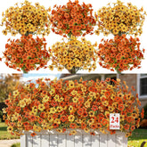 Alupssuc front arrangement showing full fall color and curb appeal