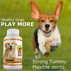 Amazing Nutritionals dog enjoying chew, supports easier feeding and acceptance