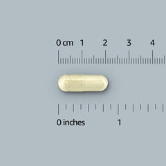 Amazon Elements bottle on kitchen counter showing daily-supplement convenience and three-month supply