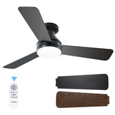 Amico front view black ceiling fan showing sleek low-profile design and modern style