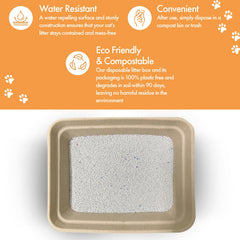 Animaru litter box next to ruler showing 17x13x4 inch dimensions for proper fit benefit