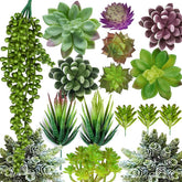 Anoak front packaging showing 16-piece succulents set and easy decor benefits
