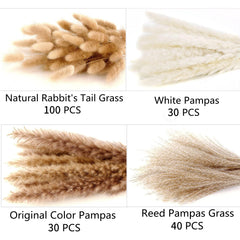ANPROOR close-up of pampas plume texture highlighting soft, airy detail