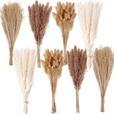 ANPROOR front view of full pampas bouquet showing natural tones and volume benefit