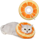 ANWA front view soft cat cone showing shape and coverage for comfort