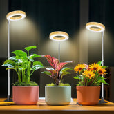 Aokrean front view with plant showing elegant wood-grain and balanced illumination
