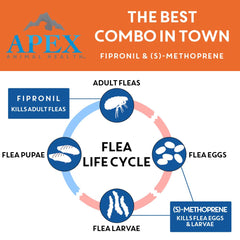 APEX ANIMAL HEALTH application step demonstrating safe topical placement on a small dog