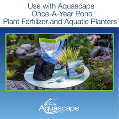Aquascape used under a blooming water lily showing strong plant support and healthy growth