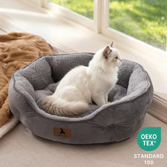 Asvin small cat curled in bed demonstrating secure restful sleep