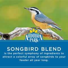Audubon Park black oil sunflower seeds detail showing energy-dense food source