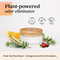 Azuna label details highlighting ingredients and non-toxic benefits