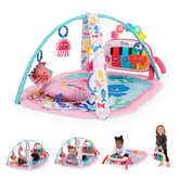 Baby Einstein front packaging showing ocean-themed gym and benefits