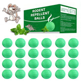 Balancexlite Plus front packaging showing 24-pack and product benefits
