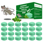 Balancexlite Plus front packaging showing 24 pack and peppermint oil benefit