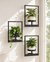 Bamworld front view hanging planter showing framed plant display benefit