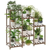 Bamworld full stand view showing seven-pot ladder display and tidy organization
