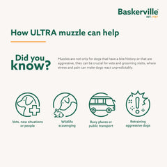 Baskerville Ultra on dog during walk demonstrating safe control
