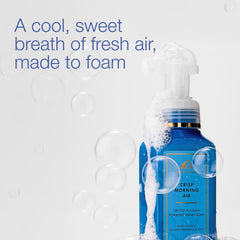 Bath & Body Works pump close-up on Crisp Morning Air showing easy dispensing