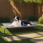 Bedsure front view of elevated cooling dog bed showing breathable support and comfort