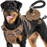 Beebiepet front view of harness showing secure fit and quick-release buckles for easy control