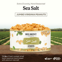 Belmont Peanuts close-up of roasted kernels showing sea-salt crystals and crisp texture