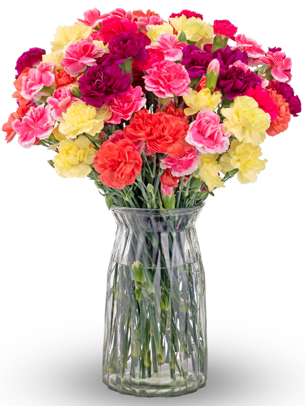 Benchmark Bouquets front view of pink purple yellow mini carnations, vibrant gift-ready display