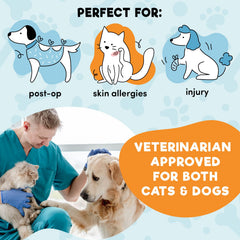 BENCMATE collar secured by looping regular dog collar preventing slipping and fall-off