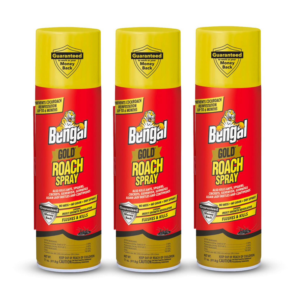 Bengal front packaging showing three 11 oz cans and product branding benefit quick identification