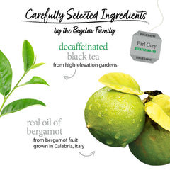Close-up of Bigelow decaffeinated Earl Grey loose tea leaves and bergamot oil for aromatic detail