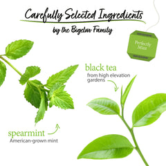 Bigelow Tea unwrapped bag on saucer highlighting fine tea and simple brewing