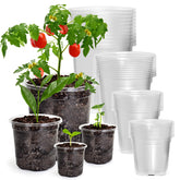 Bluepro front pack of 36 clear nursery pots showing complete assortment and convenience