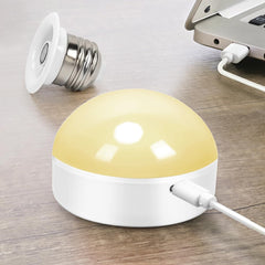BLUEYE remote beside bulb demonstrating remote control and timer convenience benefit