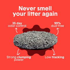Boxiecat granule texture shot highlighting low-dust, absorbent bentonite