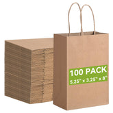 Brothersbox front view of 100 small kraft paper bags showing compact bulk and natural look