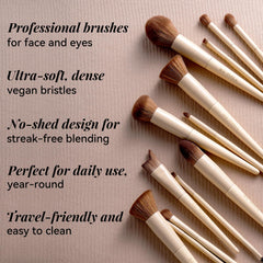BS-MALL eye brushes array illustrating shape variety for precise blending