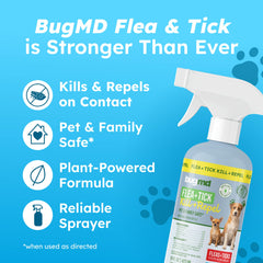 BugMD concentrate bottles close-up highlighting plant-powered oils
