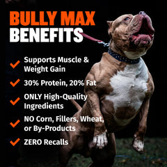 Detailed kibble texture of Bully Max, visible crunch and nutrient-rich composition