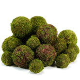 BYHER front display of 18-piece decorative moss balls showing variety and convenience