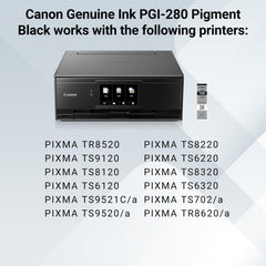 Canon PGI-280 label close-up showing model details and fit assurance