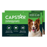Capstar front packaging showing brand and fast-acting benefit