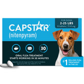 Capstar front packaging showing brand and fast-acting benefit