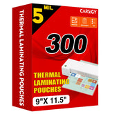 CAREGY front packaging showing 300 pack and product benefits