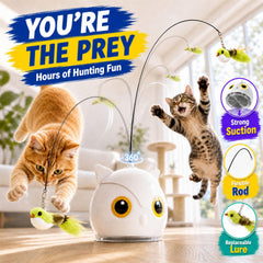 CATPICK suction base detail showing sticky surface for stable placement
